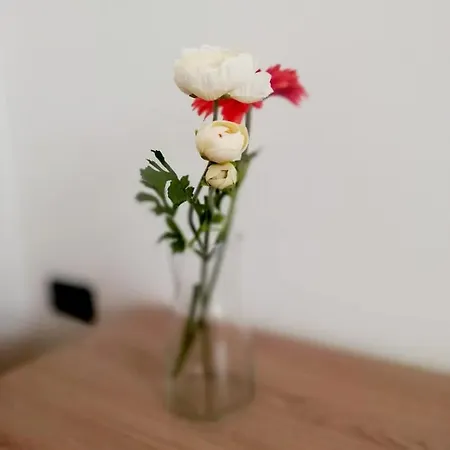 Apartment Sweet